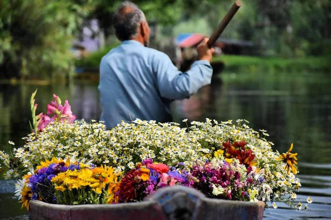 Green View Group Of Houseboats Srīnagar Zewnętrze zdjęcie